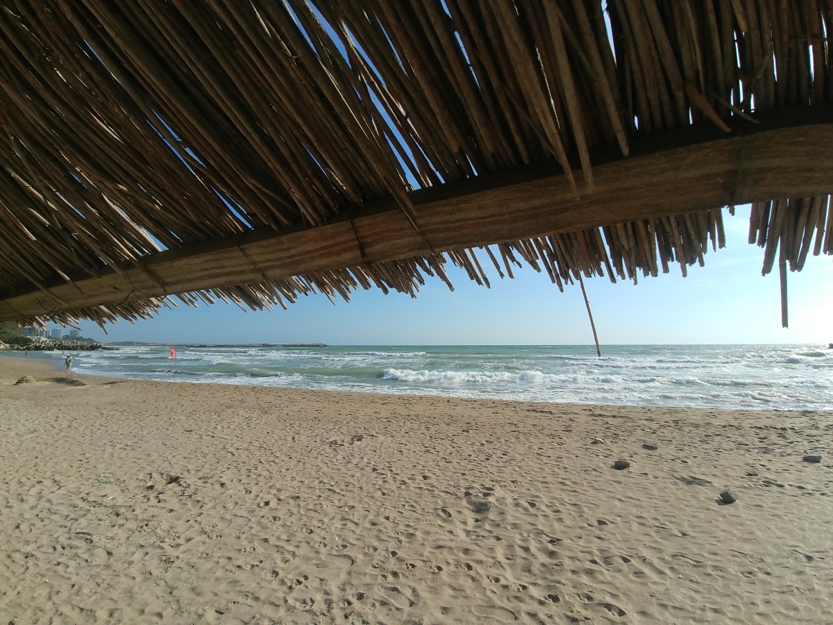 Neptun of The Black&nbsp;Sea